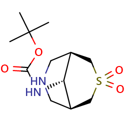 tert-butylN-[(1R,5S,9s)-3,3-dioxo-3λ?-thia-7-azabicyclo[3,3,1]nonan-9-yl]carbamate图片