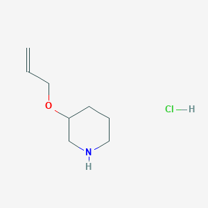 3-(Allyloxy)piperidine HydrochlorideͼƬ