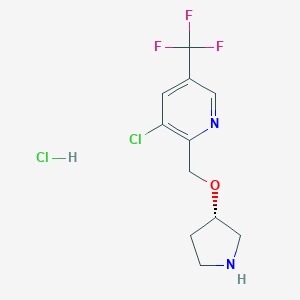 3-Chloro-2-[(pyrrolidin-3-yloxy)methyl]-5-(trifluoromethyl)pyridine hydrochlorideͼƬ