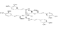 2,3,4,5-Tetracaffeoyl-D-Glucaric acidͼƬ