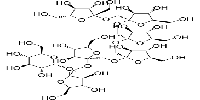 Fructo-oligosaccharide DP7/GF6ͼƬ