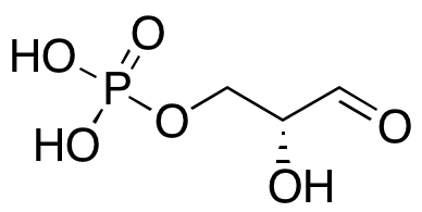 D-Glyceraldehyde 3-Phosphate,(10mg/mL solution in water)图片