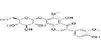 Iristectorin BͼƬ