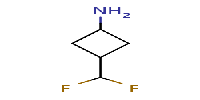 3-(difluoromethyl)cyclobutan-1-amineͼƬ