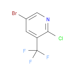 2--5--3-׻ͼƬ