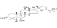 20(S),24(R)-OcotillolͼƬ