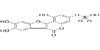 Demethylwedelolactone SulfateͼƬ