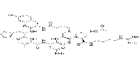 c(Bua-Cpa-Thi-Val-Asn-Cys)-Pro-d-Arg-NEt2 acetateͼƬ