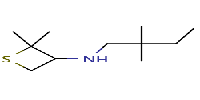 N-(2,2-dimethylbutyl)-2,2-dimethylthietan-3-amineͼƬ