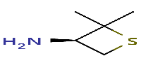 (3R)-2,2-dimethylthietan-3-amineͼƬ