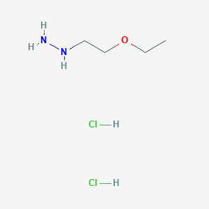 (2-ethoxyethyl)hydrazine dihydrochlorideͼƬ