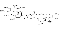 3-Feruloyl-1-Sinapoyl sucroseͼƬ