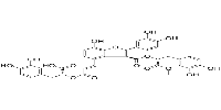 9''-Methyl salvianolate BͼƬ