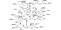 Fructo-oligosaccharide DP10/GF9ͼƬ