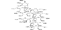 Fructo-oligosaccharide DP9/GF8ͼƬ