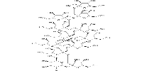 Fructo-oligosaccharide DP12/GF11ͼƬ