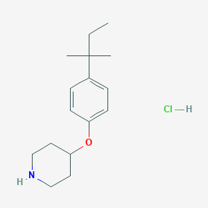 4-(tert-Pentyl)phenyl 4-piperidinyl etherhydrochlorideͼƬ