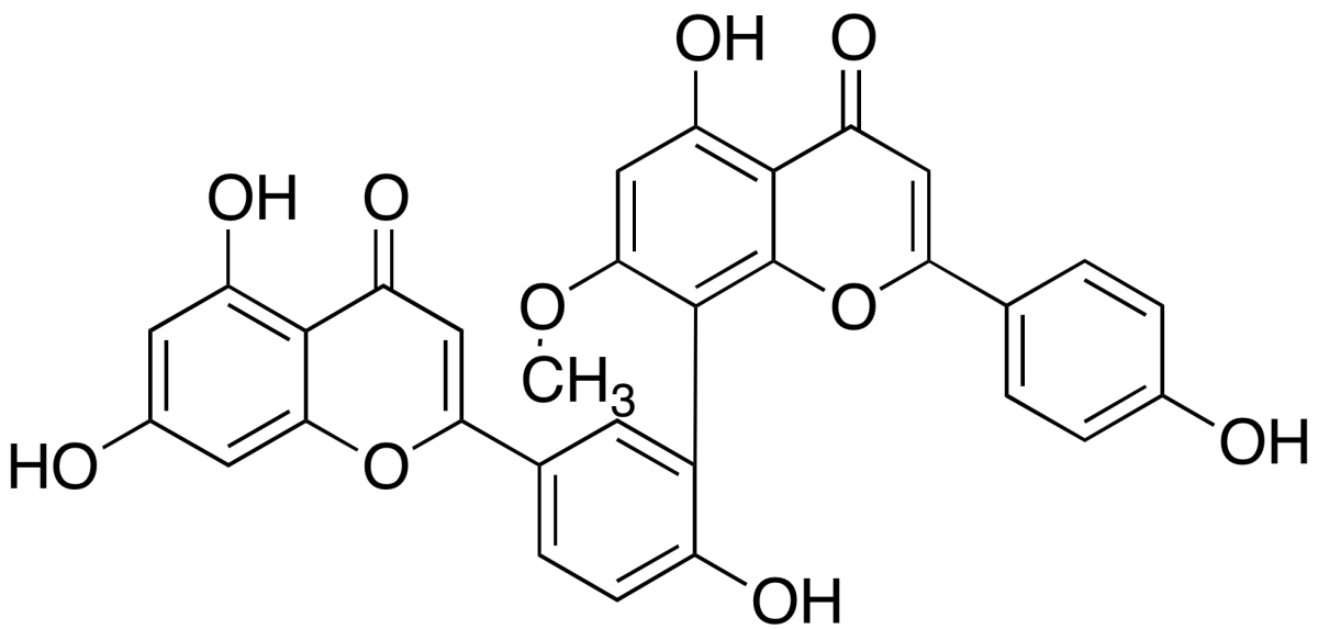 SotetsuflavonͼƬ