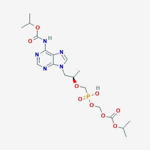 POC̩ŵΤ6-(ǶӳĻ)(̩ŵΤE)ͼƬ