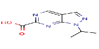 1-isopropylpyrazolo[3,4-d]pyrimidine-6-carboxylicacidͼƬ