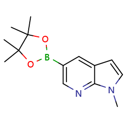 1-methyl-5-(tetramethyl-1,3,2-dioxaborolan-2-yl)-1H-pyrrolo[2,3-b]pyridineͼƬ