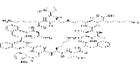 Cortistatin 14,human,ratͼƬ