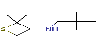 N-(2,2-dimethylpropyl)-2,2-dimethylthietan-3-amine图片