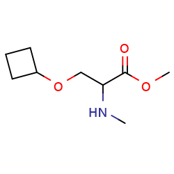 methyl3-cyclobutoxy-2-(methylamino)propanoateͼƬ