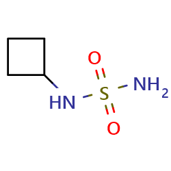 N-cyclobutylaminosulfonamideͼƬ