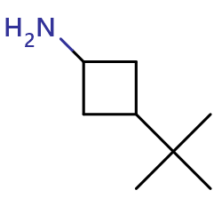 3-tert-butylcyclobutan-1-amineͼƬ