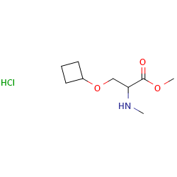 methyl3-cyclobutoxy-2-(methylamino)propanoatehydrochlorideͼƬ