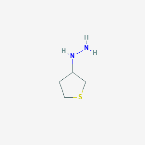 Thiolan-3-ylhydrazineͼƬ