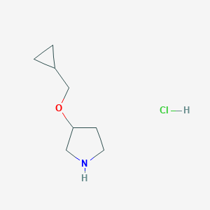 3-(Cyclopropylmethoxy)pyrrolidine HydrochlorideͼƬ