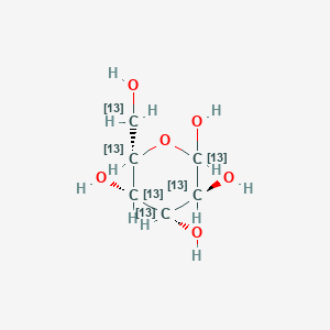 L-Galactose-13C6ͼƬ