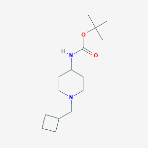 tert-Butyl 1-(cyclobutylmethyl)piperidin-4-ylcarbamateͼƬ