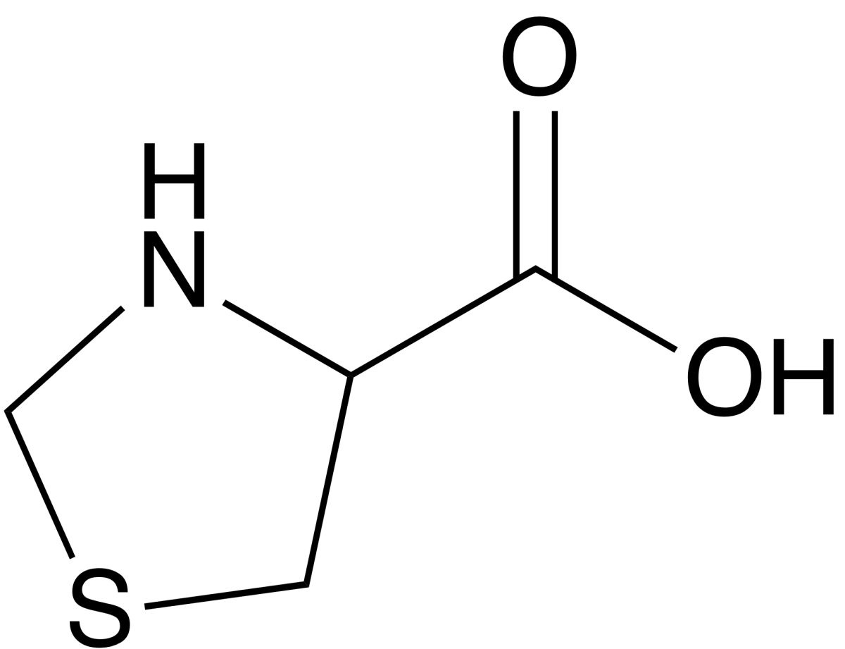 1,3-Thiazolidine-4-carboxylic acidͼƬ