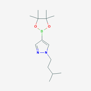 1-(3-methylbutyl)-4-(tetramethyl-1,3,2-dioxaborolan-2-yl)-1H-pyrazoleͼƬ