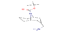 tert-butyl(1R,3s,5S)-3-(aminomethyl)-9-azabicyclo[3,3,1]nonane-9-carboxylateͼƬ