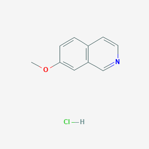 7-Methoxyisoquinoline HydrochlorideͼƬ