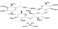 Acarbose sulfateͼƬ