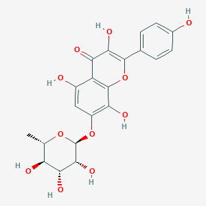 RhodioninͼƬ