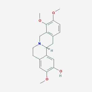 TetrahydrocolumbamineͼƬ