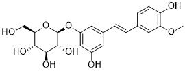 IsorhapontinͼƬ