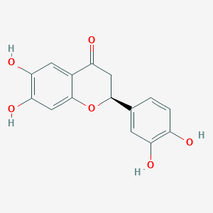 PlathymeninͼƬ