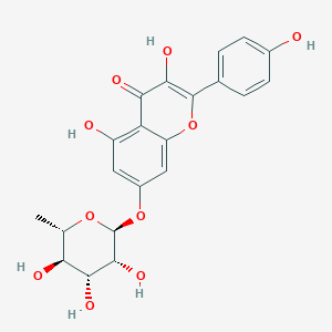 Kaempferol 7-O-rhamnoside图片