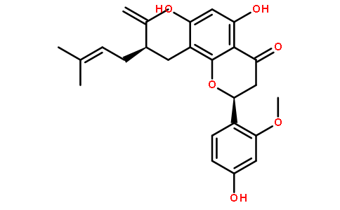 Leachianone AͼƬ