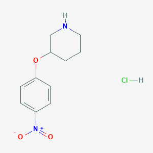 3-(4-Nitrophenoxy)piperidine hydrochlorideͼƬ