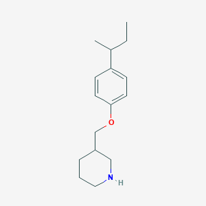 3-{[4-(sec-Butyl)phenoxy]methyl}piperidineͼƬ