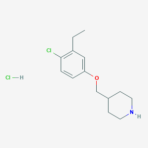 4-[(4-Chloro-3-ethylphenoxy)methyl]piperidinehydrochlorideͼƬ