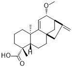 12-Methoxygrandiflorenic acidͼƬ